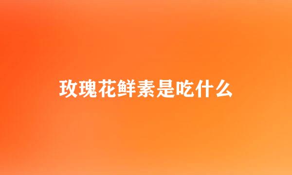 玫瑰花鲜素是吃什么