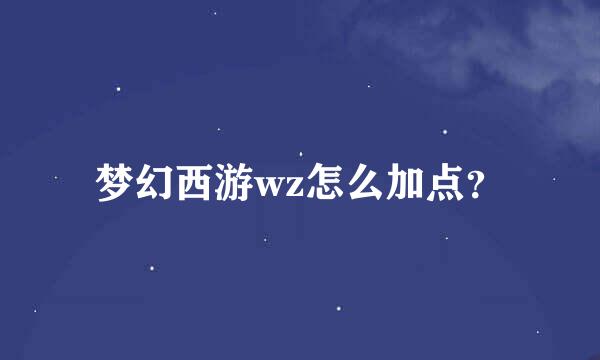 梦幻西游wz怎么加点？