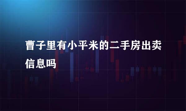 曹子里有小平米的二手房出卖信息吗