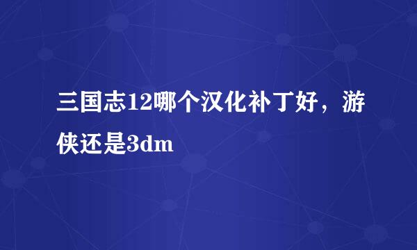 三国志12哪个汉化补丁好，游侠还是3dm