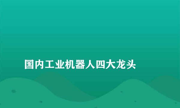 
国内工业机器人四大龙头
