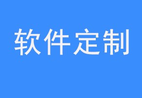 天津地区哪个软件公司的软件开发能力比较好呢？