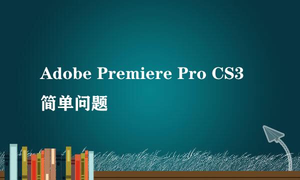 Adobe Premiere Pro CS3 简单问题