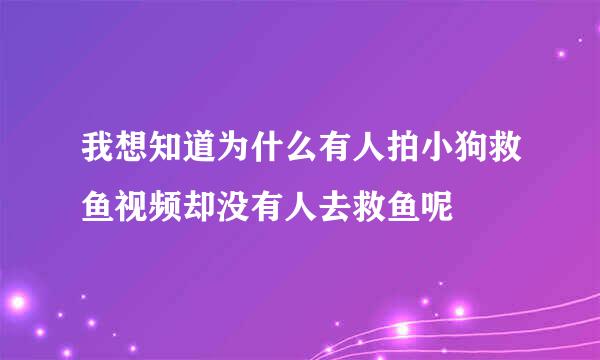 我想知道为什么有人拍小狗救鱼视频却没有人去救鱼呢