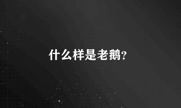 什么样是老鹅？