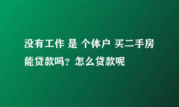 没有工作 是 个体户 买二手房 能贷款吗？怎么贷款呢