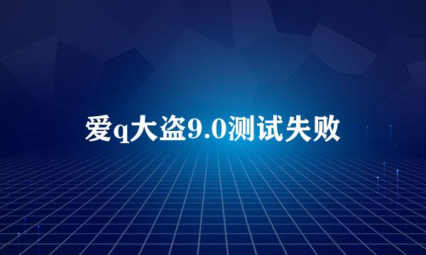 爱q大盗9.0测试失败