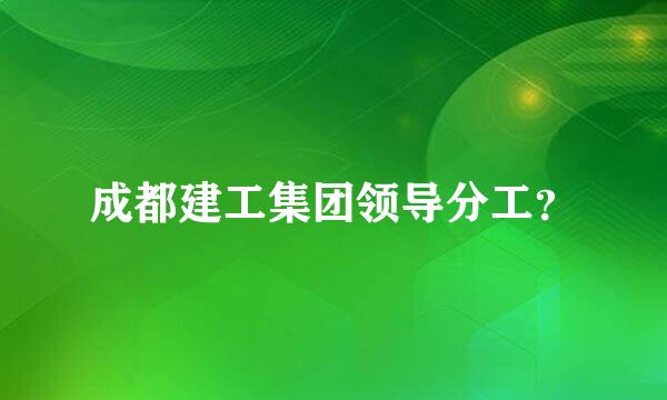 成都建工集团领导分工？