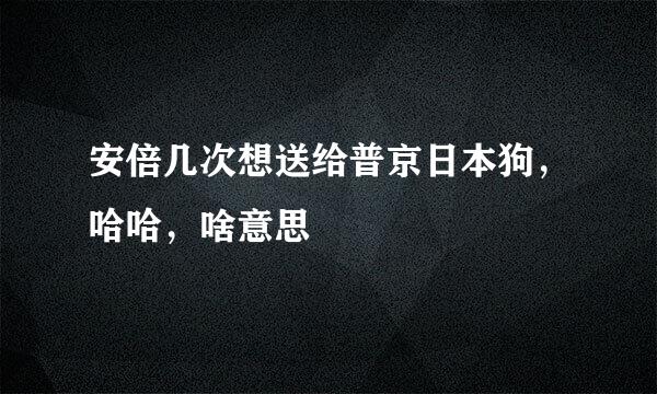 安倍几次想送给普京日本狗，哈哈，啥意思