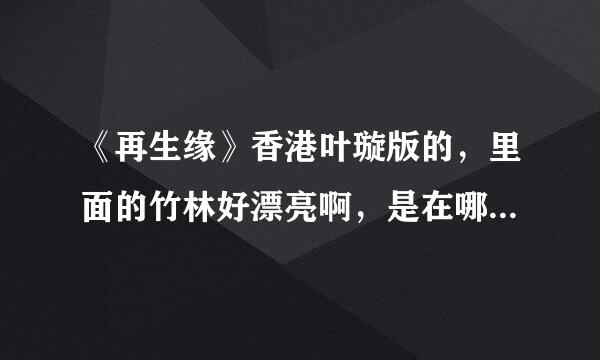 《再生缘》香港叶璇版的，里面的竹林好漂亮啊，是在哪取景的啊？