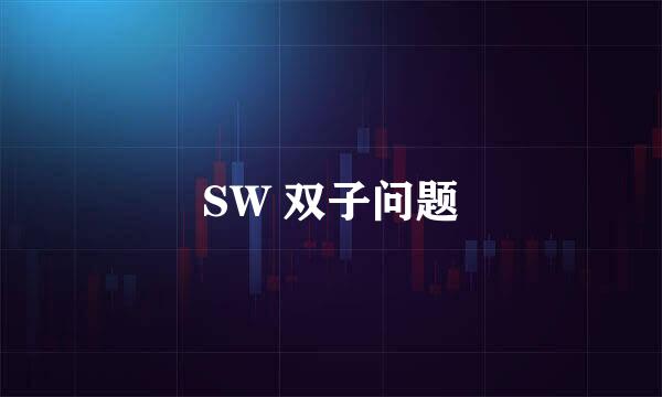 SW 双子问题