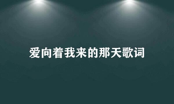 爱向着我来的那天歌词