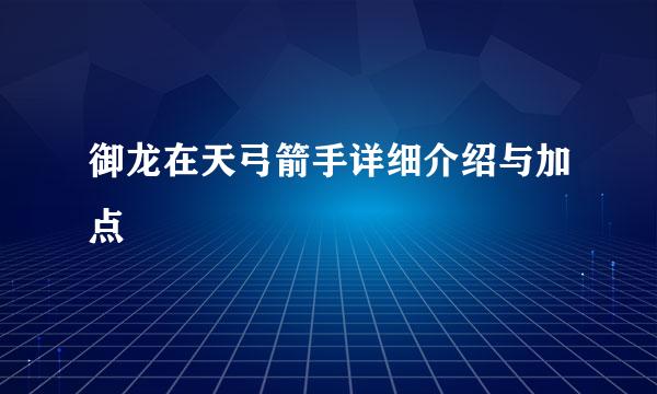 御龙在天弓箭手详细介绍与加点