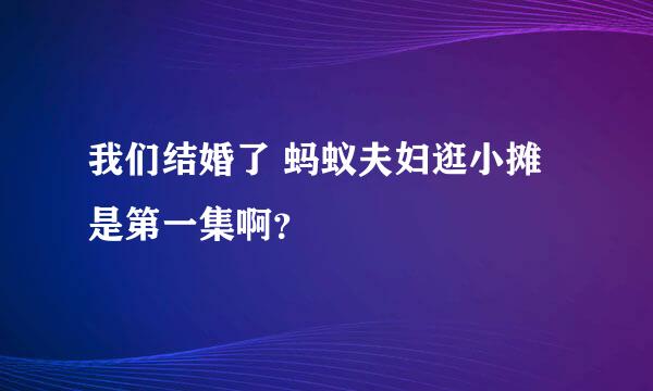 我们结婚了 蚂蚁夫妇逛小摊是第一集啊？