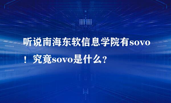 听说南海东软信息学院有sovo！究竟sovo是什么？