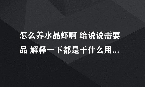 怎么养水晶虾啊 给说说需要品 解释一下都是干什么用的要低成本