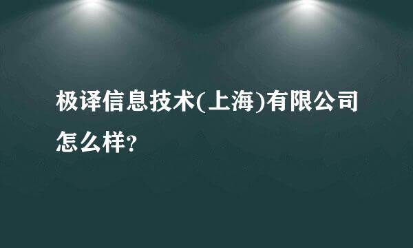 极译信息技术(上海)有限公司怎么样？