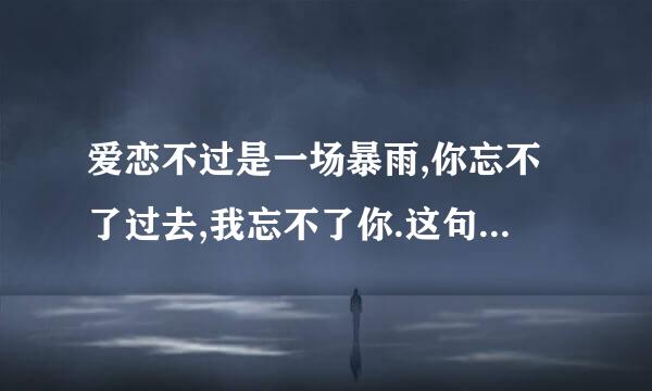 爱恋不过是一场暴雨,你忘不了过去,我忘不了你.这句歌词是哪首歌