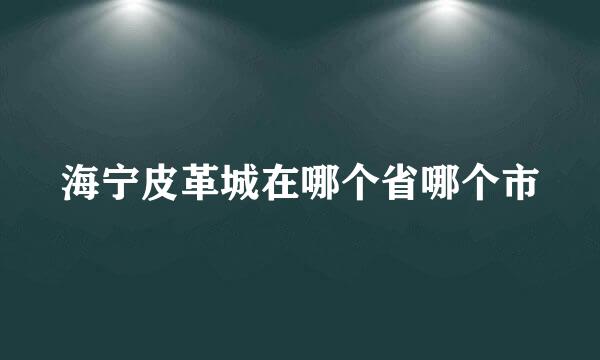 海宁皮革城在哪个省哪个市