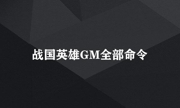 战国英雄GM全部命令