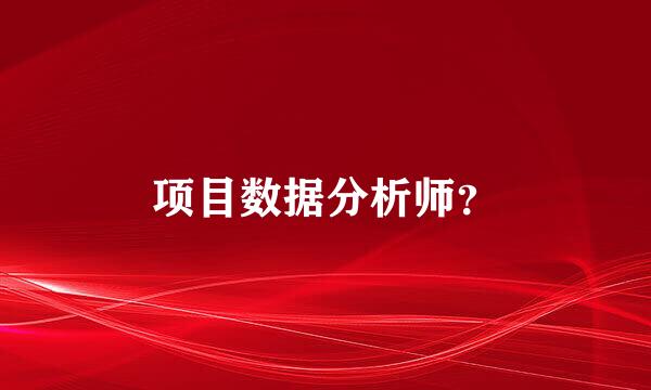 项目数据分析师？