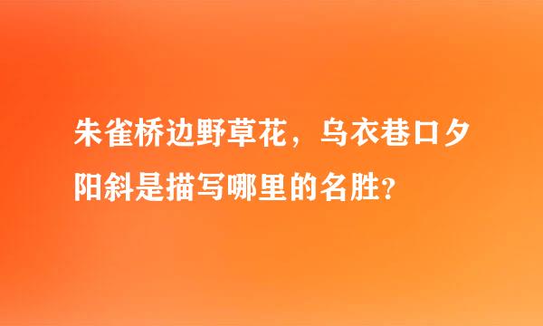 朱雀桥边野草花，乌衣巷口夕阳斜是描写哪里的名胜？