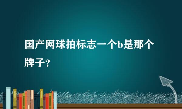 国产网球拍标志一个b是那个牌子？