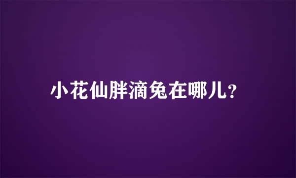 小花仙胖滴兔在哪儿？