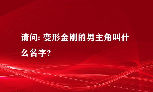 请问: 变形金刚的男主角叫什么名字？