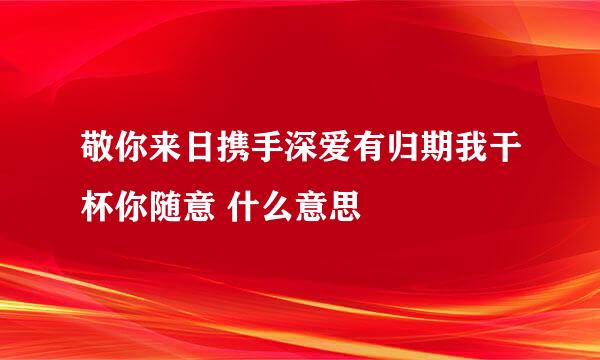 敬你来日携手深爱有归期我干杯你随意 什么意思