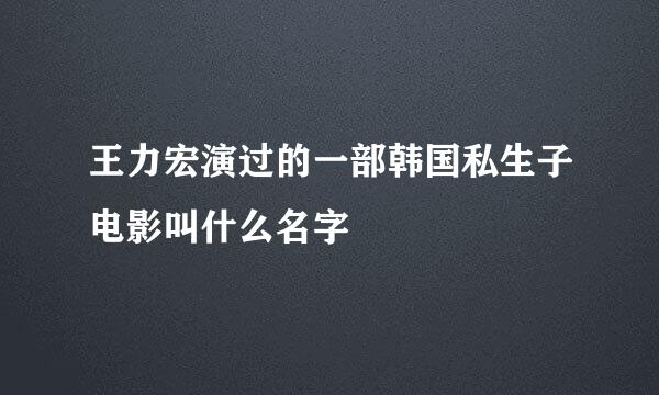 王力宏演过的一部韩国私生子电影叫什么名字