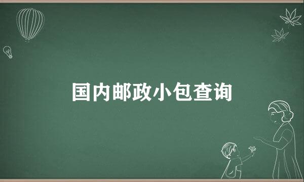 国内邮政小包查询