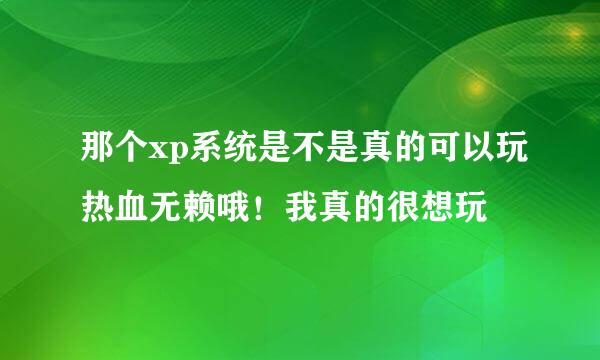 那个xp系统是不是真的可以玩热血无赖哦！我真的很想玩