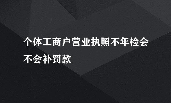 个体工商户营业执照不年检会不会补罚款