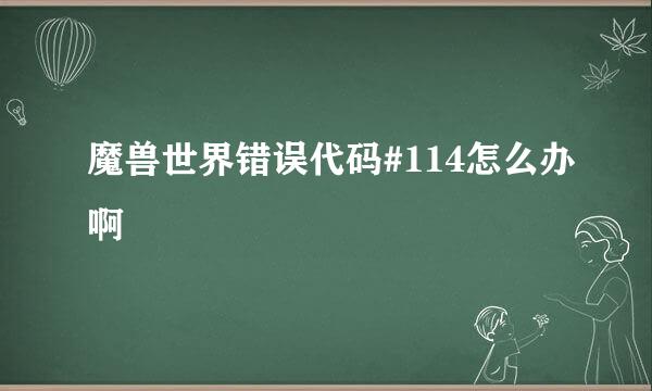 魔兽世界错误代码#114怎么办啊