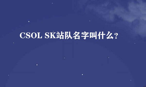 CSOL SK站队名字叫什么？