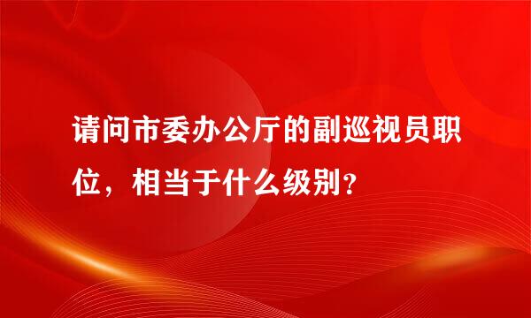 请问市委办公厅的副巡视员职位，相当于什么级别？