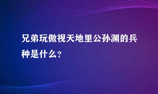 兄弟玩傲视天地里公孙渊的兵种是什么？