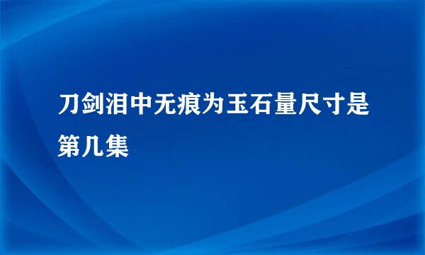 刀剑泪中无痕为玉石量尺寸是第几集