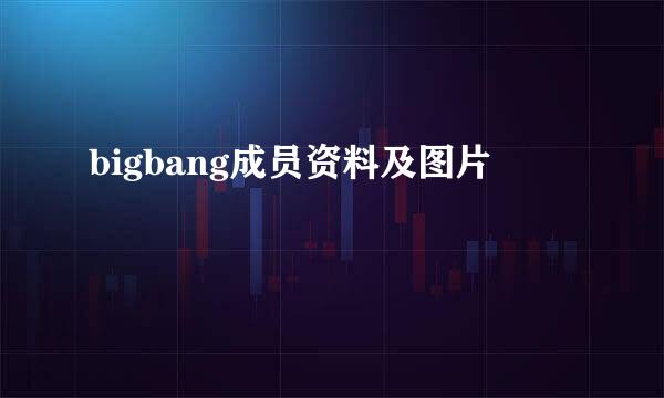 bigbang成员资料及图片