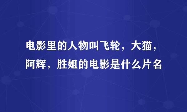 电影里的人物叫飞轮，大猫，阿辉，胜姐的电影是什么片名