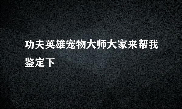 功夫英雄宠物大师大家来帮我鉴定下