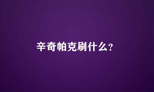 辛奇帕克刷什么？