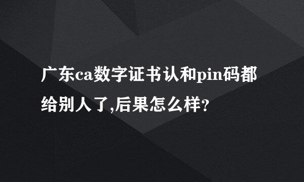 广东ca数字证书认和pin码都给别人了,后果怎么样？