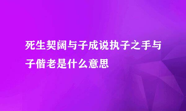 死生契阔与子成说执子之手与子偕老是什么意思