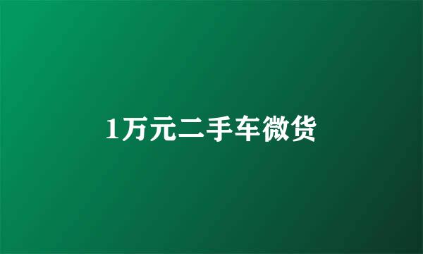 1万元二手车微货