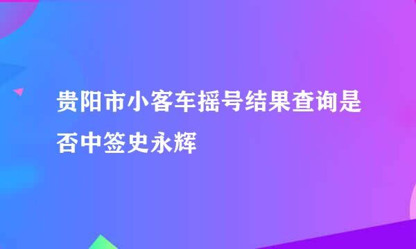 贵阳市小客车摇号结果查询是否中签史永辉