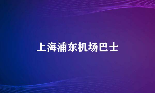 上海浦东机场巴士