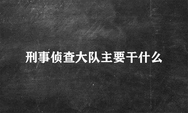 刑事侦查大队主要干什么