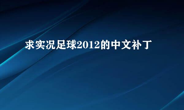 求实况足球2012的中文补丁